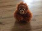 Keel Toys Soft Toy Cuddly Plush Orangutan Sticking Hands 3+ Years.