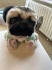 Doug The Pug Small Soft Toy BNWT