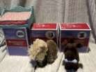 American girl pet Set -  2 American Girl Dogs And Pet bed.  In Boxes, Rarely Use